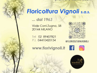 FIORI IN CORTE