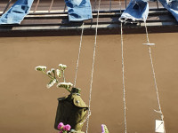 FIORI IN CORTE