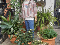 FIORI IN CORTE