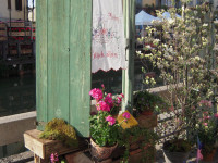 FIORI IN CORTE