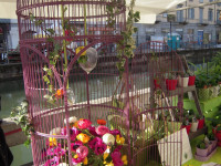 FIORI IN CORTE