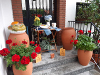 FIORI IN CORTE