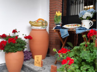 FIORI IN CORTE