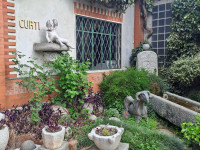 FIORI IN CORTE