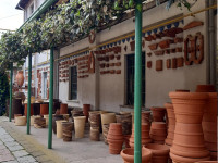 FIORI IN CORTE