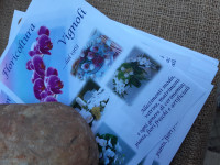 FIORI IN CORTE