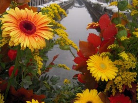 Fiori e Sapori d'autunno
