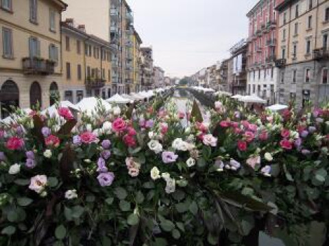 Fiori & sapori 2017