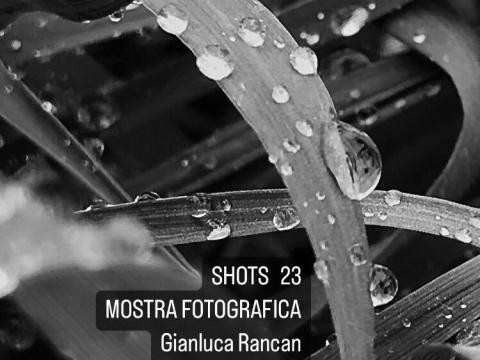 SHOTS 23